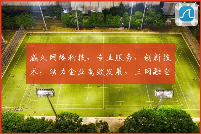 威久网络科技，专业服务，创新技术，助力企业高效发展，三网融合，智能升级，一站式解决方案