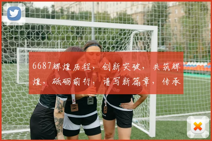 6687辉煌历程，创新突破，共筑辉煌，砥砺前行，谱写新篇章，传承卓越精神