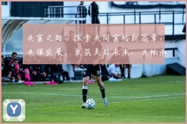 共富之路，探索共同富裕新篇章，共谋发展，共筑美好未来，共绘和谐画卷。